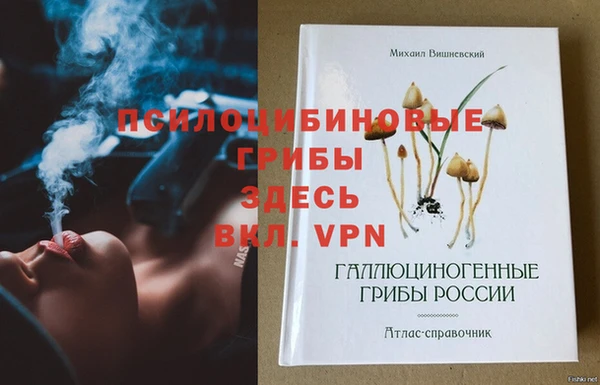 крисы Верхнеуральск
